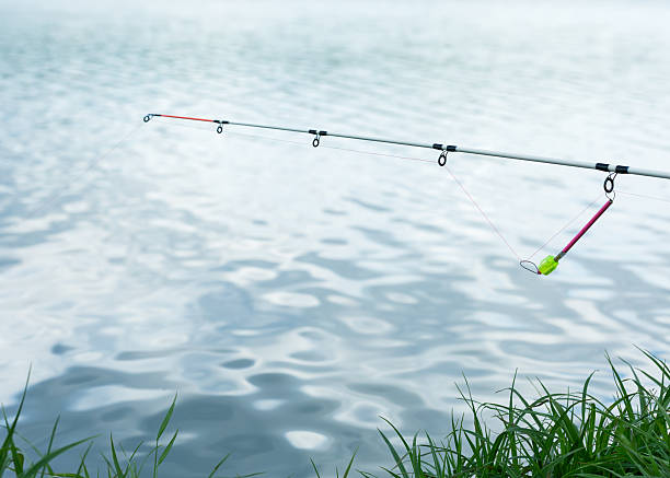 istock Fishing rod poised over water, awaiting a bite, casting a serene scene 2236457752