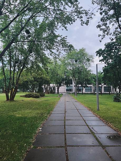 istock Serene pathway through a lush green park on a cloudy day in an urban setting 2236458554