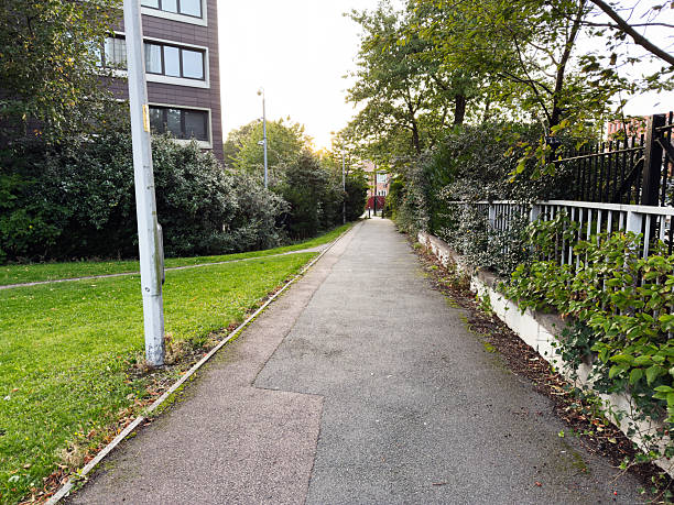 istock Paved pathway lined with greenery in Manchester during sunny afternoon 2236461564