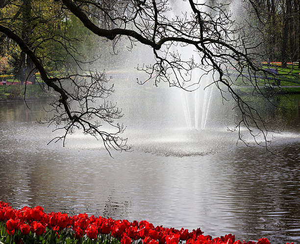 A fountain seen through the trees and flowers of Keukenhoff Gardens