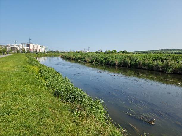 istock Serene Summer View of Irpin River Quay 2236462992