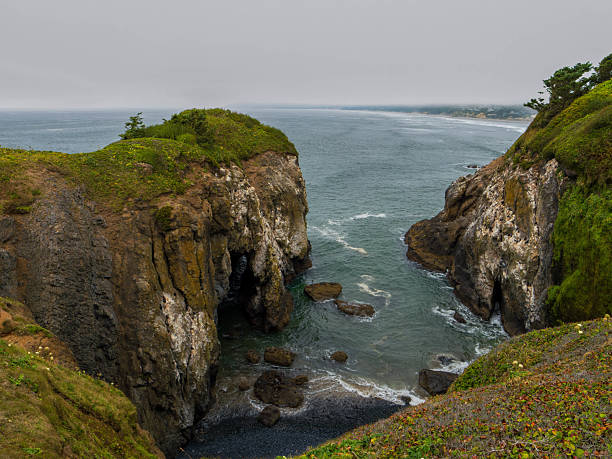 The Rocky Shores of Oregon