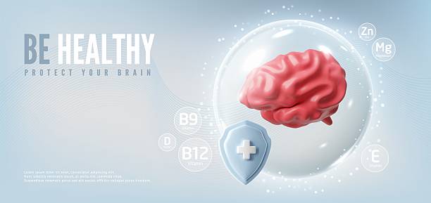 istock 3D realistic model of human brain, vector render pink cerebrum isolated, volume intellect organ, Anatomy science concept 2236464428