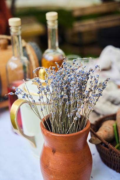 istock Lavender flowers in a clay pot. Still-life 2236466540
