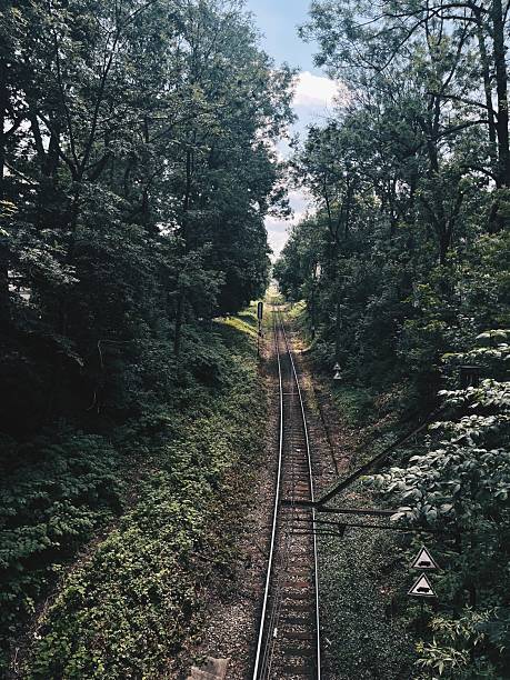 istock Train tracks winding through lush greenery under a clear blue sky during a sunny day 2236469895