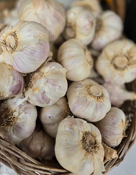 istock Fresh garlic bulbs in a basket 2236475990