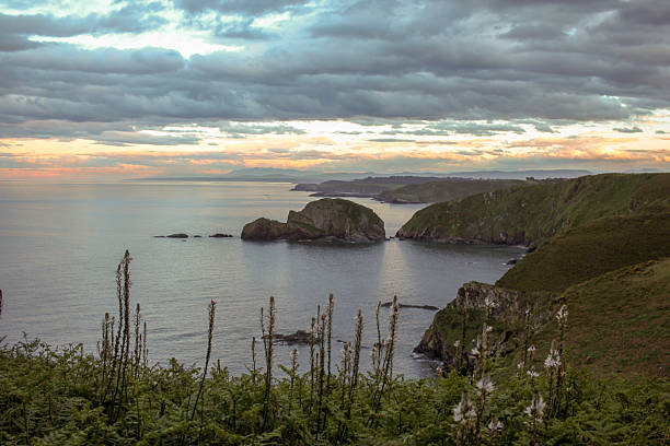 nature during sunset in Cabo Penas, Asturias, Spain