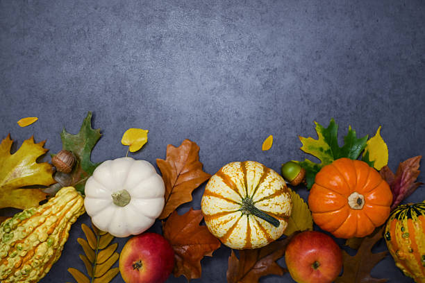 istock Autumn decoration, thanksgiving greeting card. 2236481793