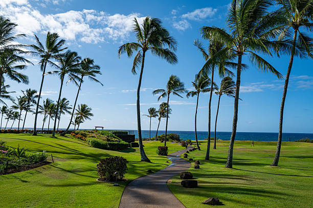 istock Public walkway on Kauai 2236483038