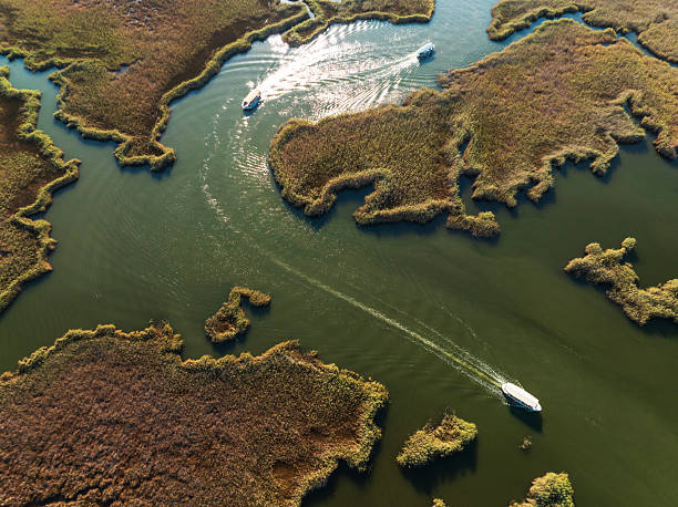 istock Aerial View of Dalyan Delta 2236484186
