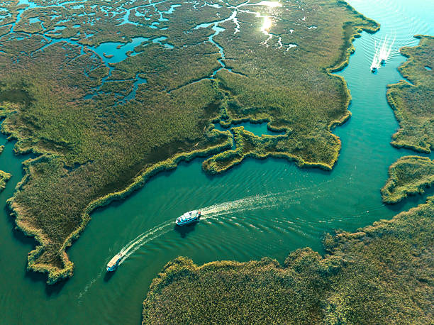 istock Aerial View of Dalyan Delta 2236484193
