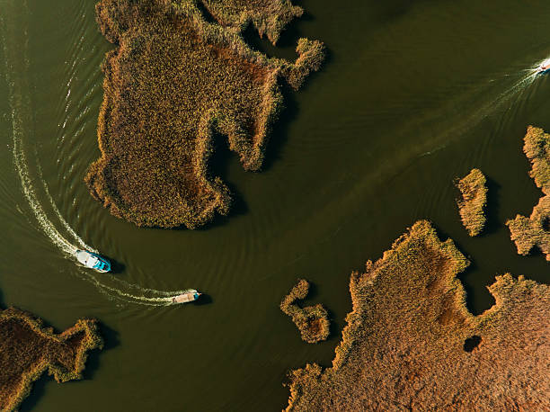 istock Aerial View of Dalyan Delta 2236484199