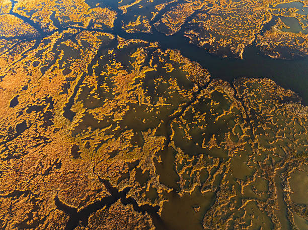 istock Aerial View of Dalyan Delta 2236484247