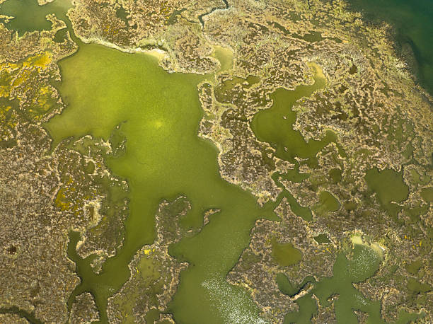 istock Aerial View of Dalyan Delta 2236484260