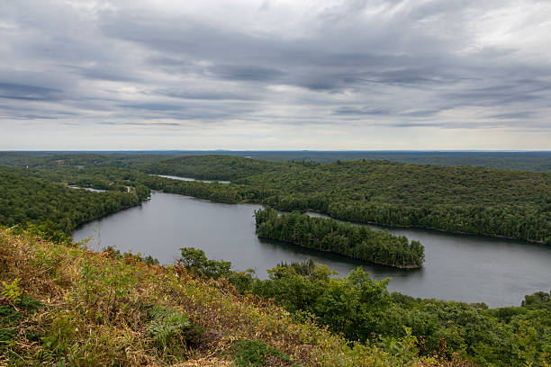 istock Scenic View from Elliot Lake Fire Tower 2 2236485128