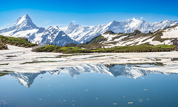 istock Bachalpsee lake, Swiss alps 2236486293