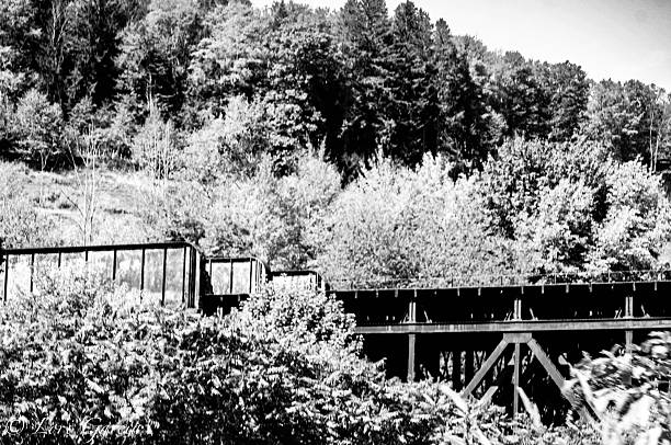 These photos are all of the old bridge running through Johnsonburg Pennsylvania. The various supports of wood and iron seem to have been erected during different areas as reflected in the various states of decay. ￼