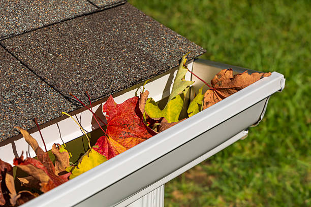 istock Closeup of house rain gutter clogged with colorful leaves falling from trees in fall. 2236487436