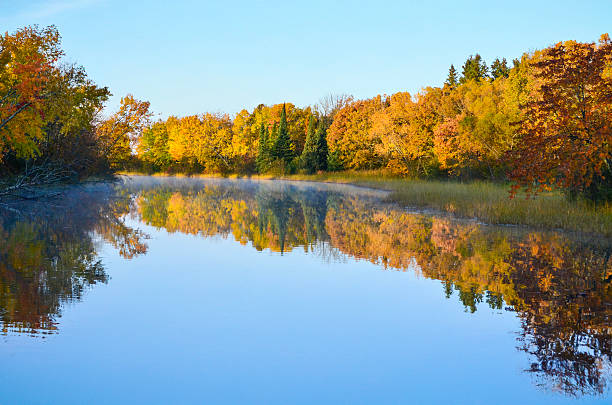 istock Autumn colored trees reflecting in lake 2236488997