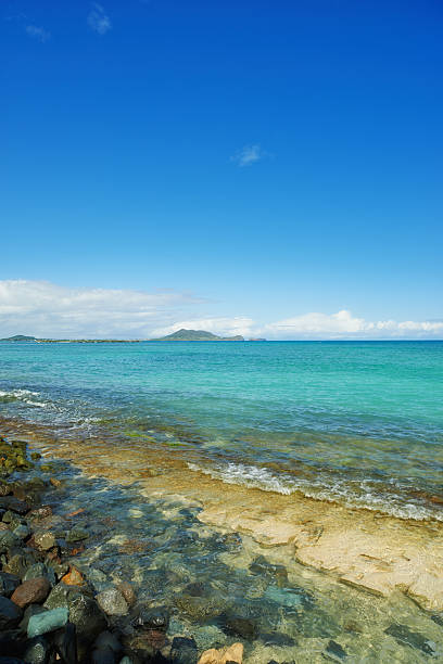 Tropical harbor of Trois-Rivière, Basse-Terre, Guadeloupe