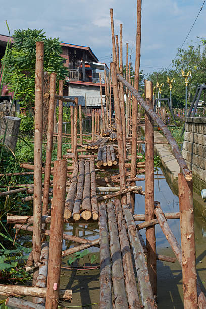 Temporary wooden bridge made of eucalyptus trees