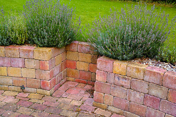 istock Rustic garden corner with lavender and thyroid herbs in a scenic Denmark landscape 2236490581