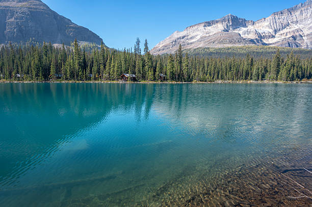 istock Cabins on the Shore of Lake O’Hara 2236493364