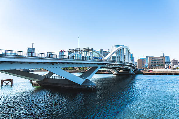 istock Tokyo urban cityscape with bridge crossing sumida river 2236494016