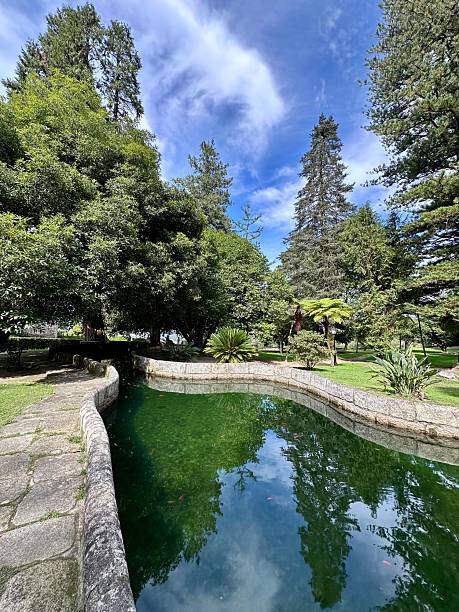 istock Pond inside a public park in Pontevedra. Soutomaior 2236496071