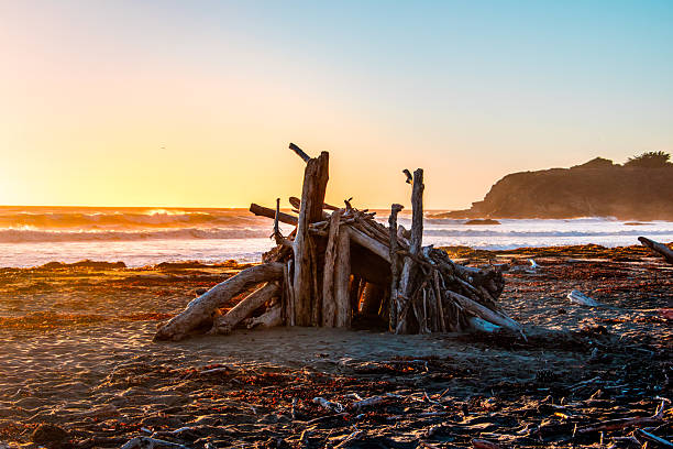 istock Sunset San Simeon Driftwood 2236511868