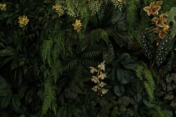 istock Green tropical natural leaves background image 2236512479