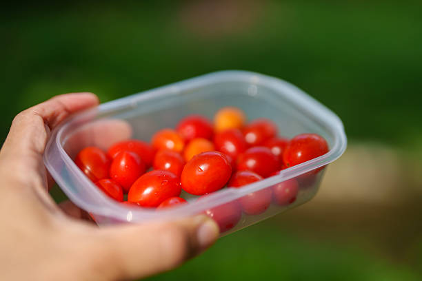 Close-up of a person picking fresh cherry tomatoes from a plastic container while sitting outdoors, healthy snack option in natural setting.