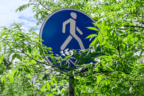 istock Blue pedestrian path sign partially covered by green leaves in park setting. Eco friendly urban mobility concept with pedestrian sign blending into nature ideal for outdoor lifestyle themes. 2236517314