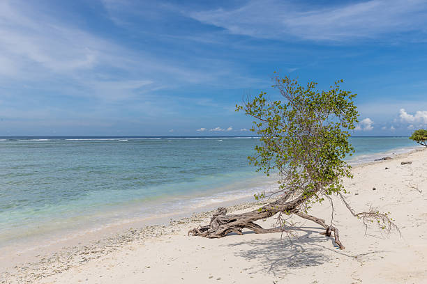 istock Gili Trawangan 2236522612