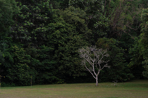 Landscape, environment, and solitude concept. Focus concept. Individual concept. Wallpaper background.
