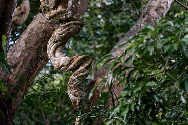 Concept of nature, aging, surface texture, and organic patterns. Texture background.