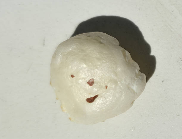 istock Single Makhana Close-up 2236527251