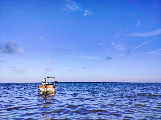 fishing boats in the blue sea