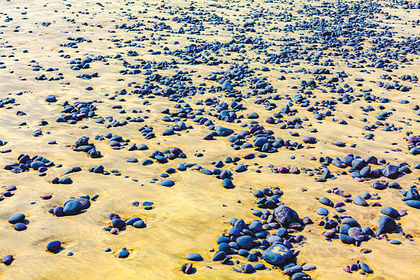 Textured beach landscape featuring golden sand and countless smooth, dark grey pebbles. Natural coast with smooth pebbles scattered across golden sand