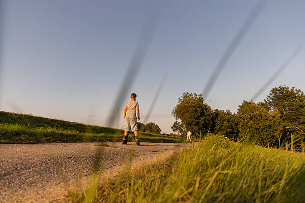 Friends can be seen inline skating along a peaceful path surrounded by greenery. The sun sets, casting a warm glow over their joyful afternoon adventure in nature.