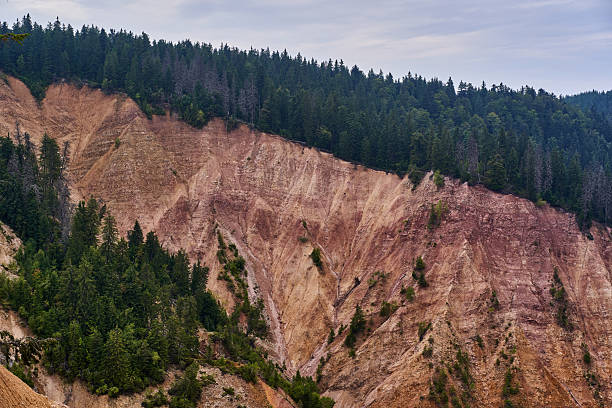 Steep eroded cliffs of Groapa Ruginoasa with patches of conifer forest in Apuseni National Park, Romania