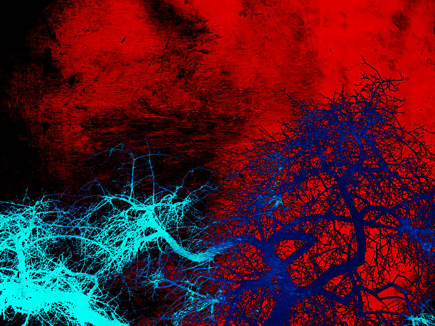 3d illusion photo in red blue