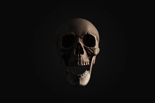 Human Skull Isolated on Black Background. High quality photo