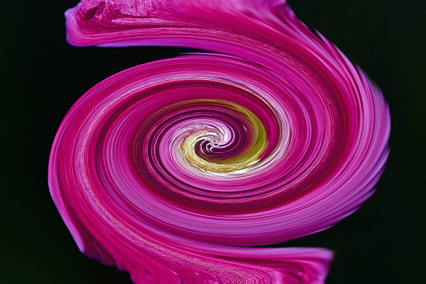 colorful spiral in lilac on a dark background