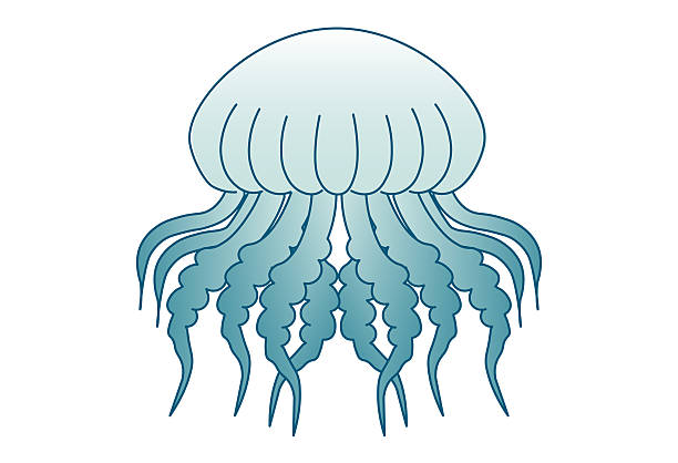 istock Jellyfish floating in ocean waves marine life illustration with transparent sea creature design for underwater and summer themed visuals 2236555358