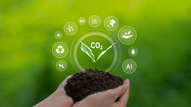 istock Sustainability and Green Business Concepts Tree Planting Carbon Reduction CO2 Concept Net Carbon Emission Target 2236556867