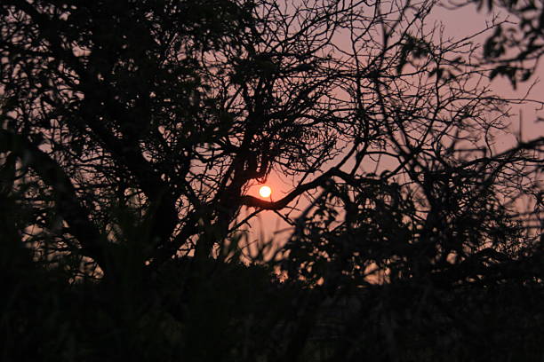 istock Sunsets and Sunrises in the Prairie Skies 2236570329