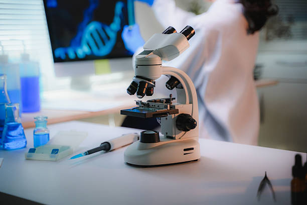 istock Researching DNA structure in a science laboratory, scientist working on genetic experiment using microscope and computer monitor 2236572984