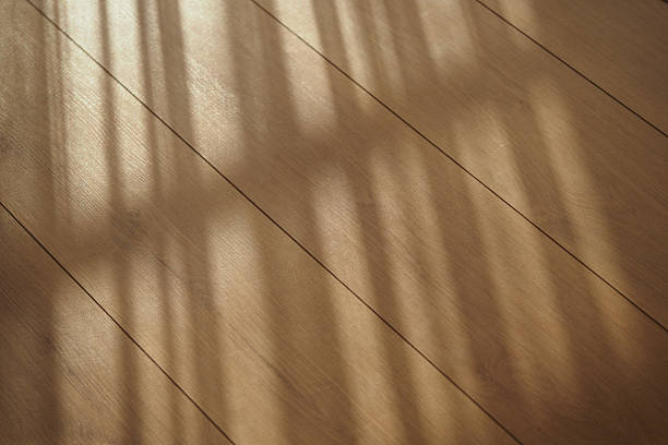 istock Sunlight casting shadows on a wooden floor in a quiet room 2236574230