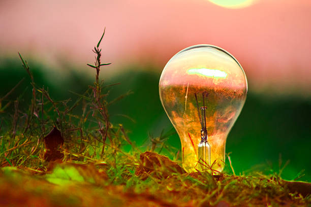 Conceptual image featuring a glowing light bulb against a natural sunset background, symbolizing ecology, environmental sustainability, solar energy, and green renewable power solutions.